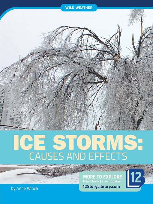 Title details for Ice Storms by Anne Winch - Available
